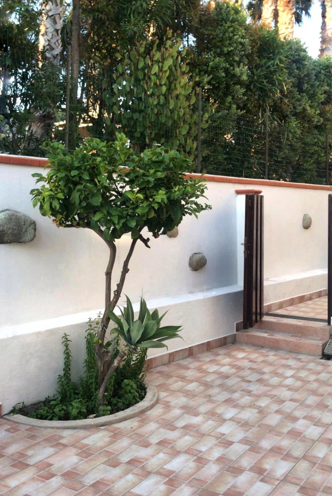 La Turrita Apartments Forio di Ischia Εξωτερικό φωτογραφία